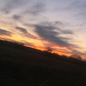 Meet your Posher, Lauryn